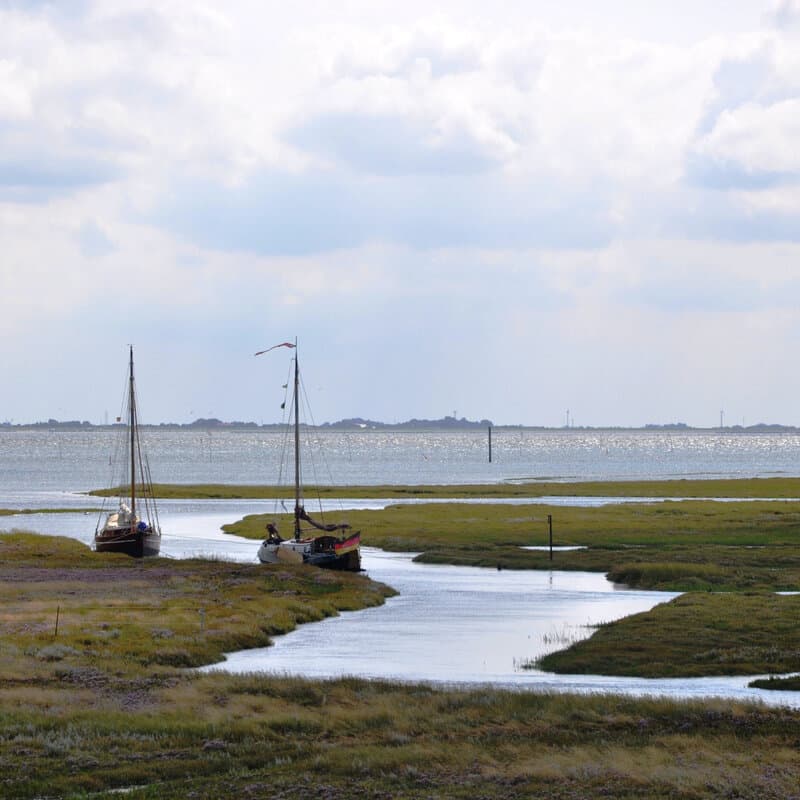 Salzwiesen auf Spiekeroog